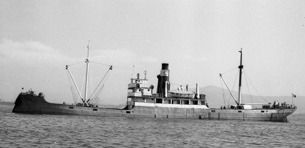 Aline by T. Diedrich Aline by T. Diedrich